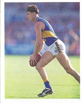 1993 Select AFL Stickers #250 Brett Heady Front